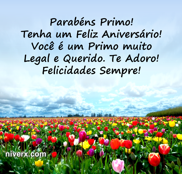 Feliz Aniversário para Primo - Celular e Whatsapp 7 (4)