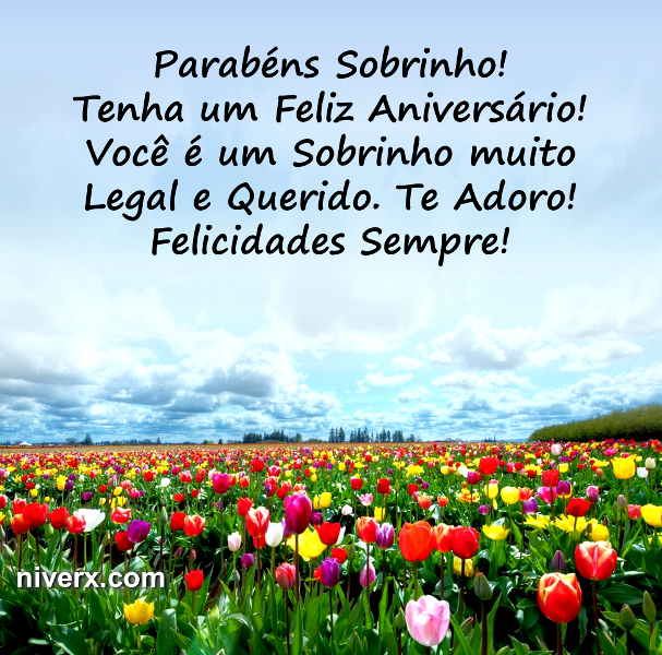 Feliz Aniversário para Sobrinho - Celular e Whatsapp s4 (1)