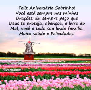 Feliz Aniversário para Sobrinho - Celular e Whatsapp s4 (5)