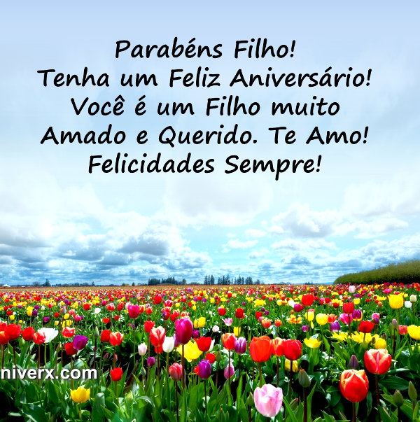 Feliz Aniversário para filho - celular e Whatsapp r6 (1)