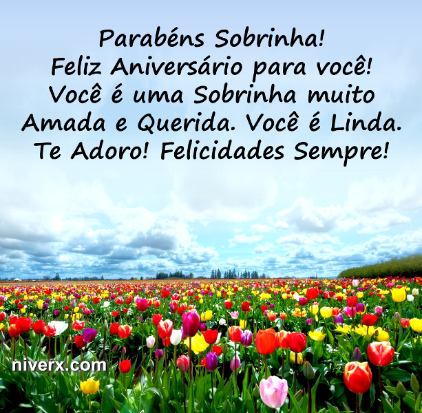 Feliz Aniversário para sobrinha - Celular e Whatsapp 13 (3)