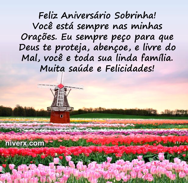 Feliz Aniversário para sobrinha - Celular e Whatsapp 13 (4)