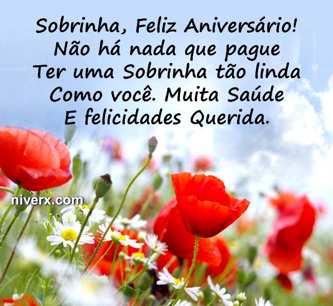 Feliz Aniversário para sobrinha - Celular e Whatsapp 13 (8)