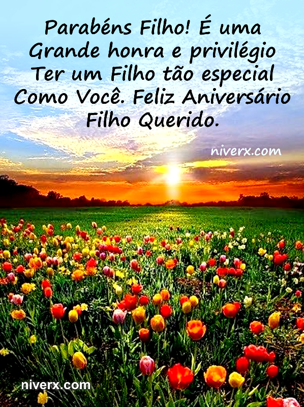 Feliz Aniversário para Filho - Celular e Whatsapp uj (10)