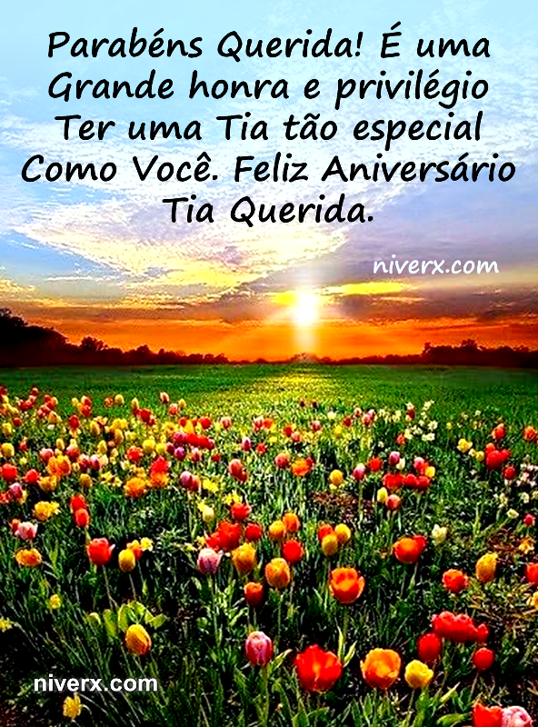 Feliz Aniversário para Tia - Celular e Whatsapp 7y (1)