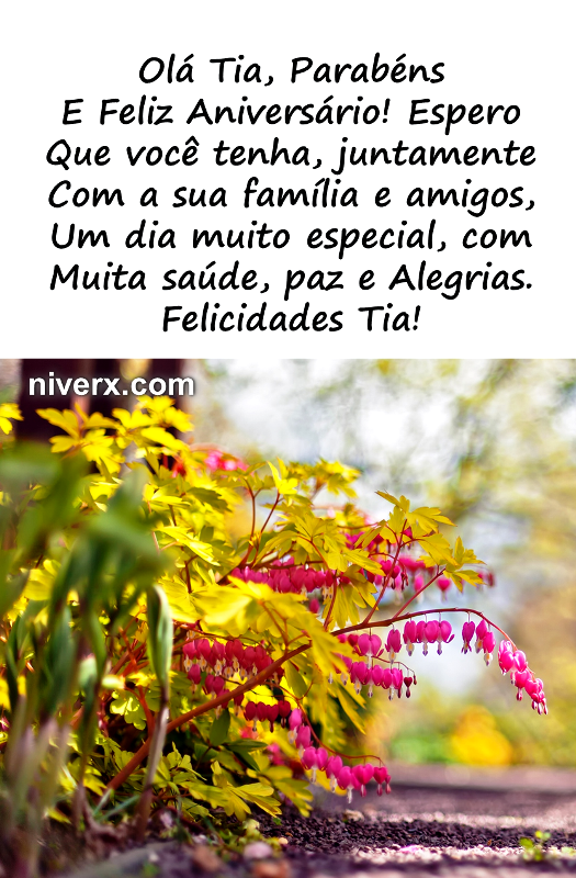 Feliz Aniversário para Tia - Celular e Whatsapp 7y (6)