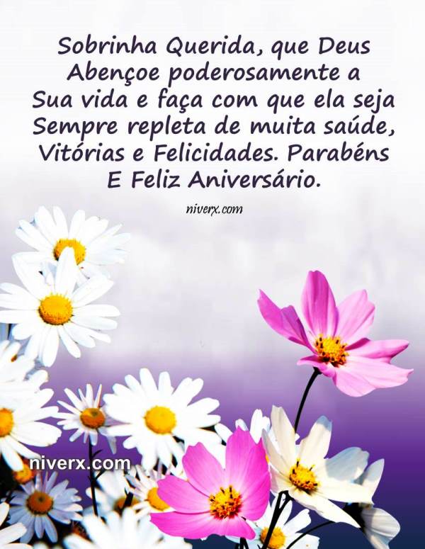 Whatsapp-Mensagem-de-Aniversário-para-Sobrinha-Whatsapp-Facebook-Telegram C 20 7