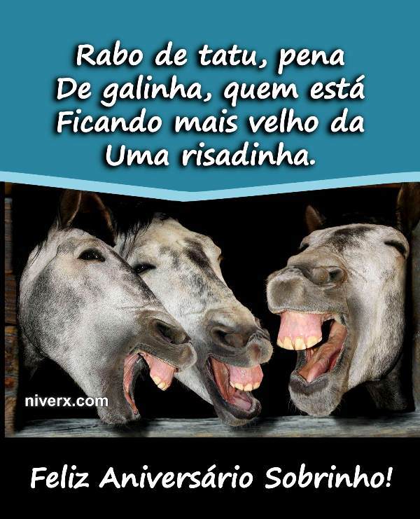 aniversário-engraçado-para-sobrinho-whatsapp-facebook-E8-imagem 1